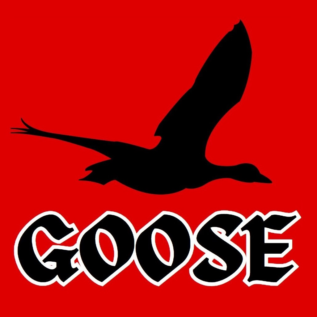 Goose Car Detailing