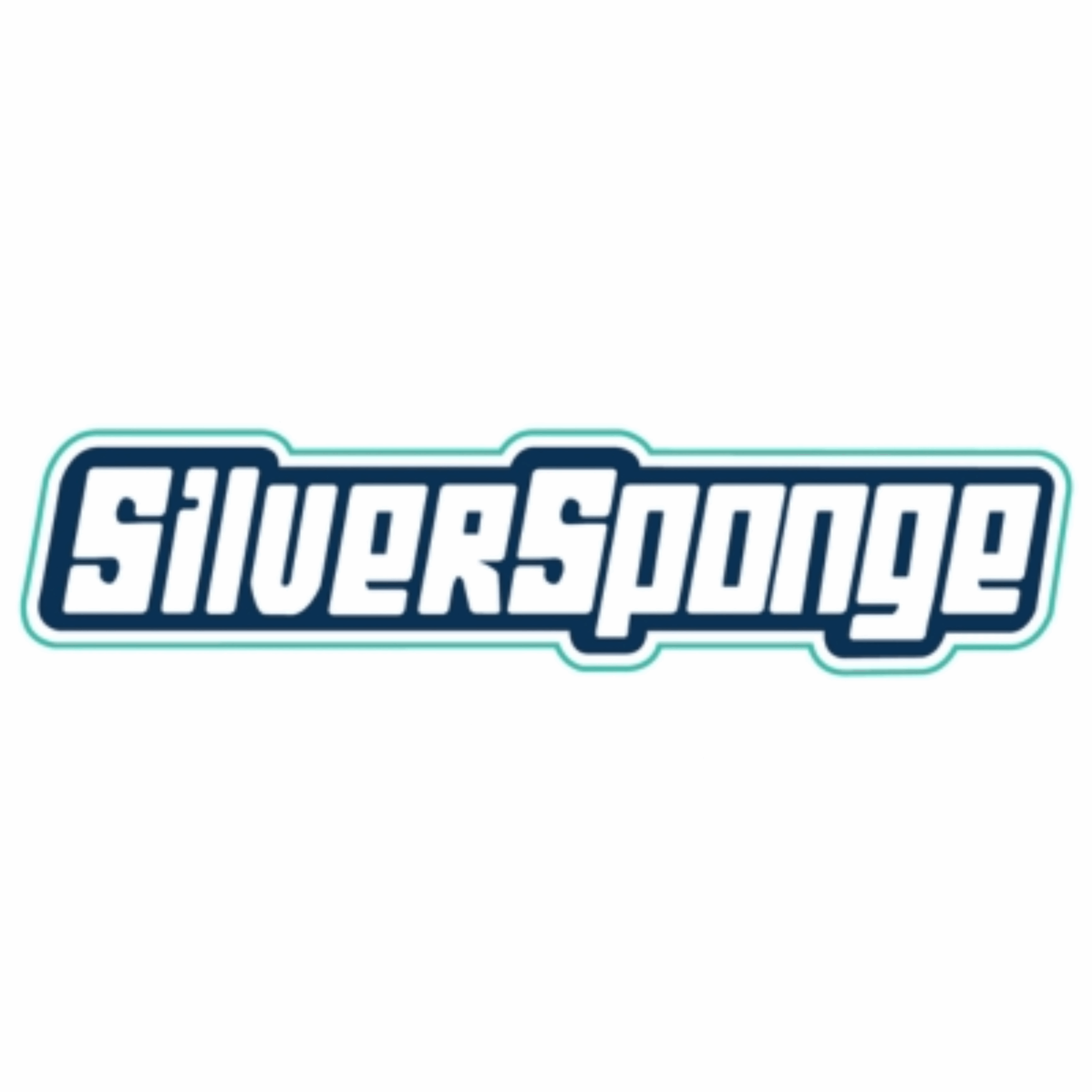 Silver Sponge Hand Car Wash Flinders Square
